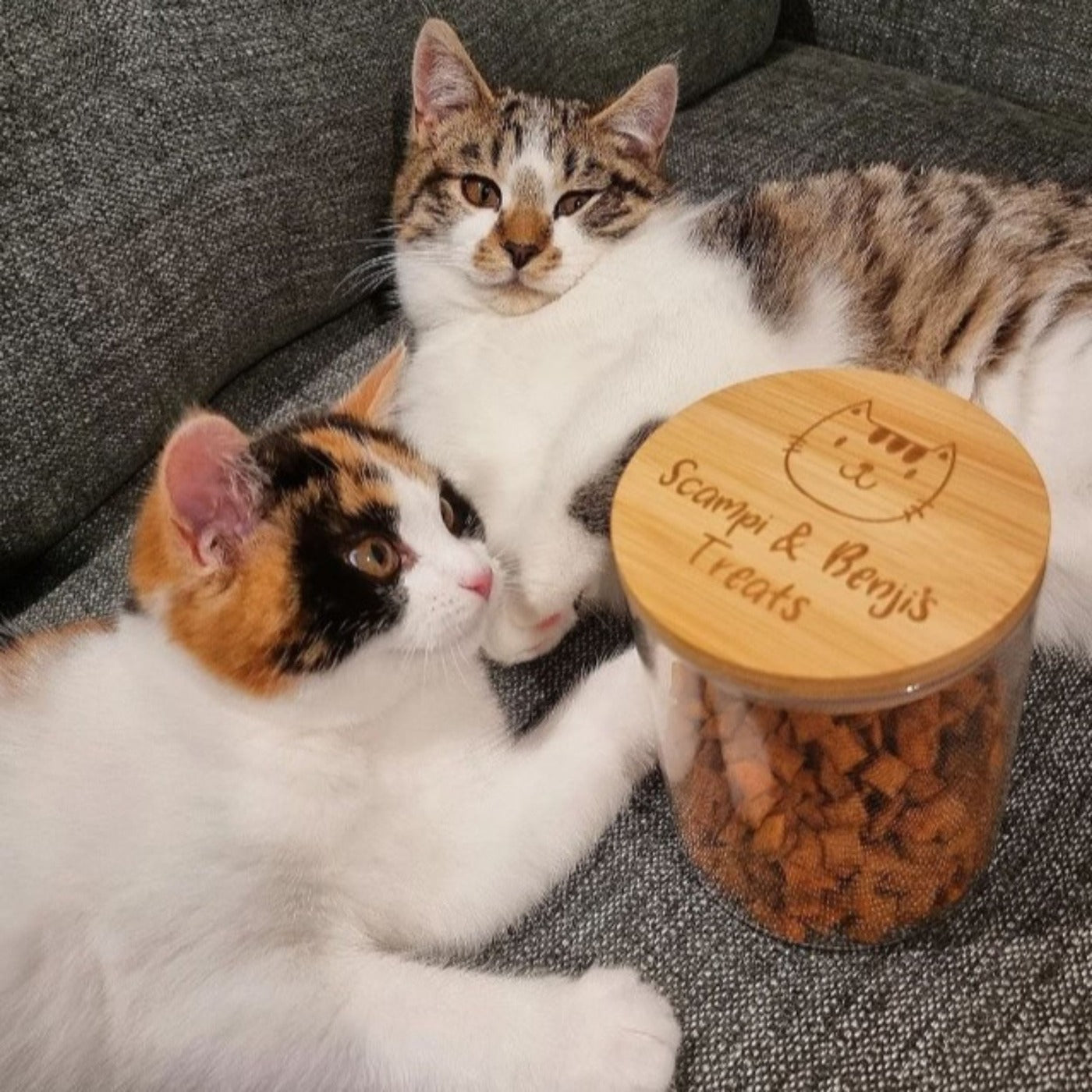 Personalised Glass Cat Treat Storage Jar with Bamboo Lid | Pick Your Size